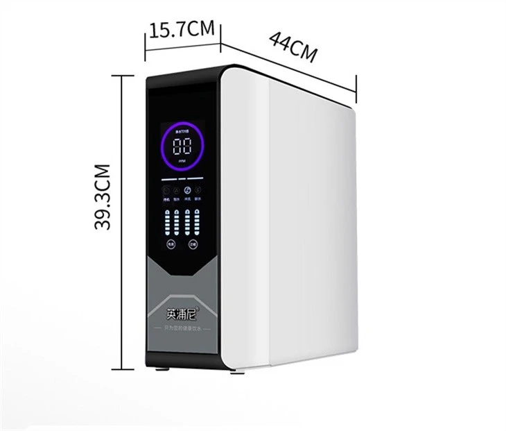 100g RO Water Purifier