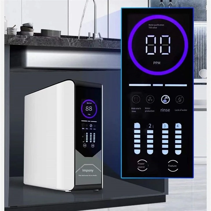100g RO Water Purifier